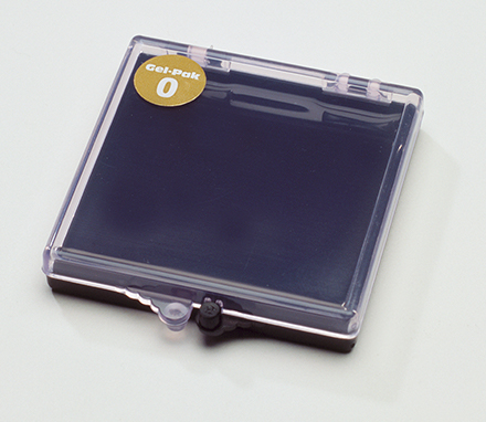 Контейнер GEL-BOX AD-22СAS-00-X0 для переноски кристаллов