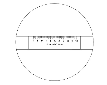 Лупы 818-01