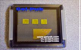 Gel-Pak-VR-9.png Gel-Pak-VR-9.png