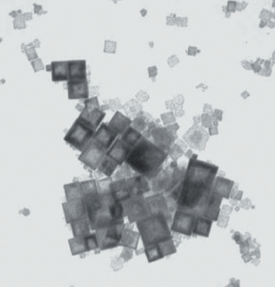 Металлический органич. каркас, 50 нм.png