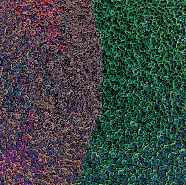 tsifrovoy-mikroskop-hirox-hrx-02-02.jpeg tsifrovoy-mikroskop-hirox-hrx-02-02.jpeg