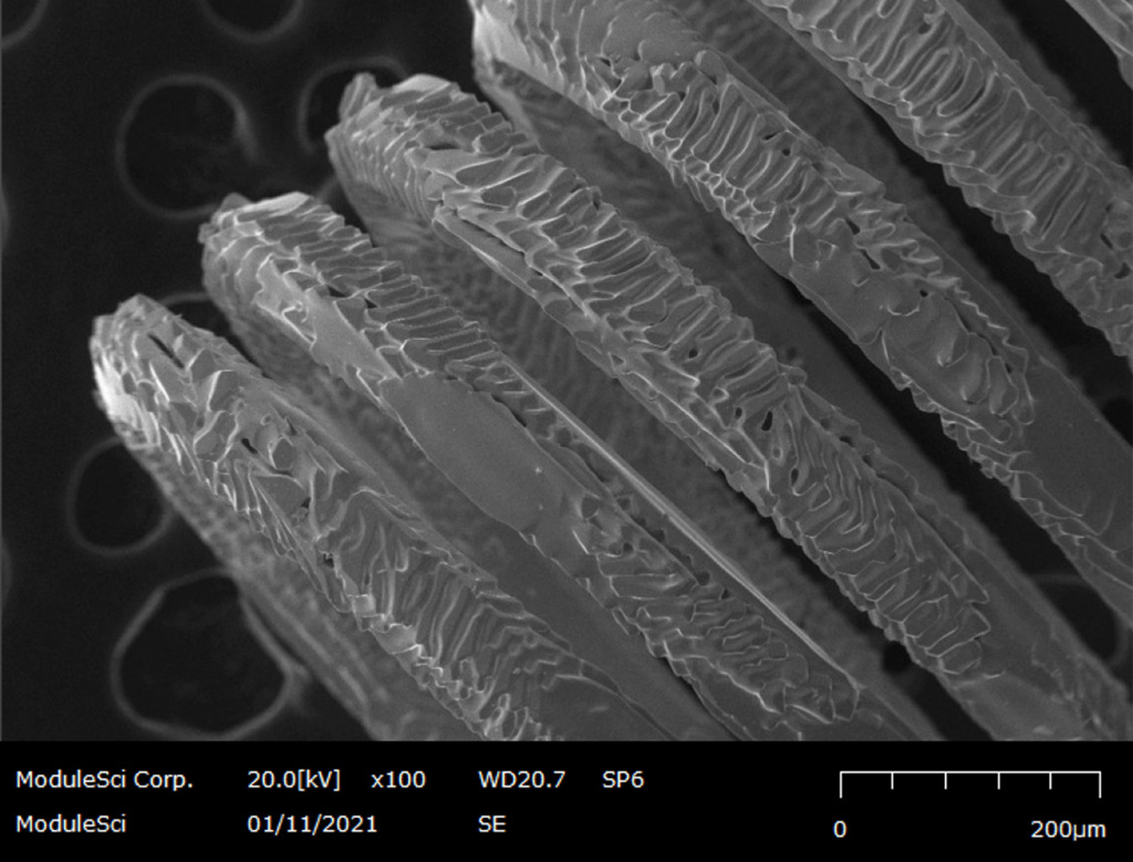 vehicle headlights.jpg