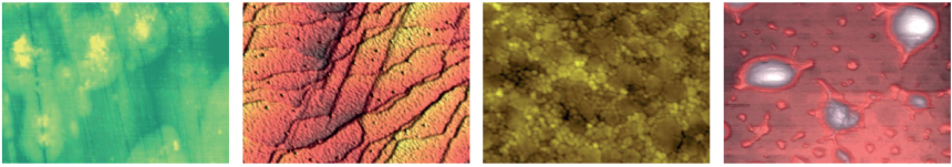 Vysokoproizvoditelnyy-atomno-silovoy-mikroskop-ASM-hpAFM-15.png Vysokoproizvoditelnyy-atomno-silovoy-mikroskop-ASM-hpAFM-15.png