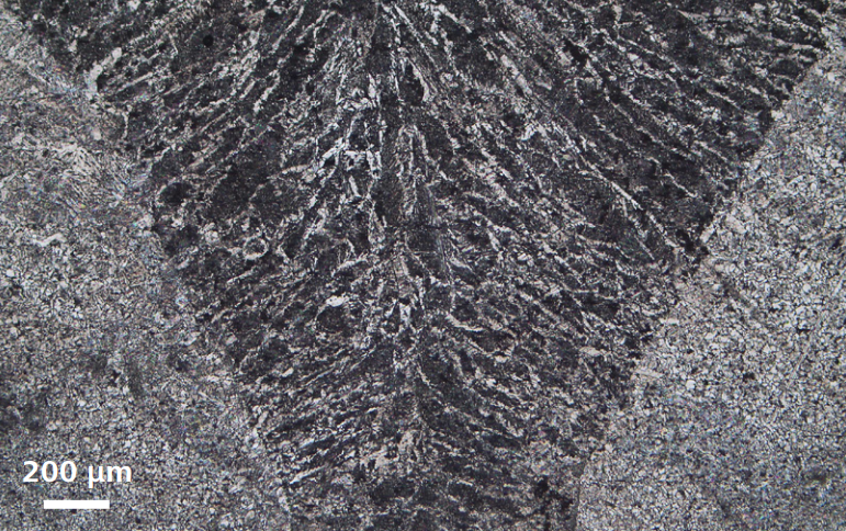 image003.png