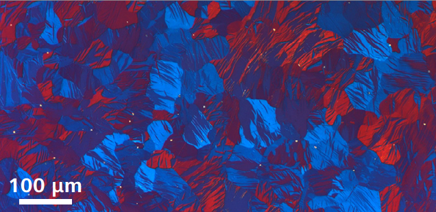 image009.png