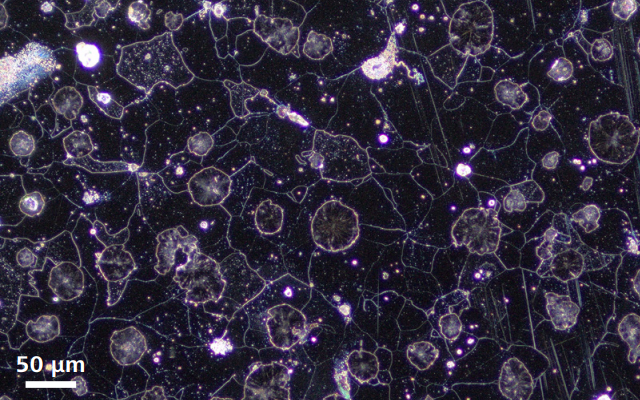 image005.png
