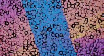 tsifrovoy-mikroskop-hirox-hrx-02-26.jpeg tsifrovoy-mikroskop-hirox-hrx-02-26.jpeg