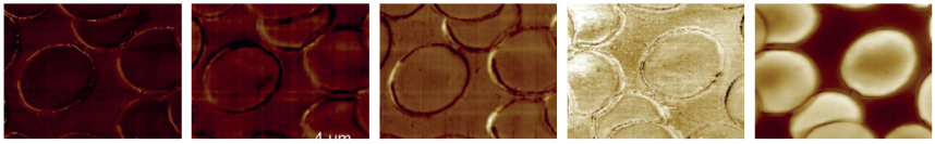 Vysokoproizvoditelnyy-atomno-silovoy-mikroskop-ASM-hpAFM-11.png