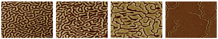 Vysokoproizvoditelnyy-atomno-silovoy-mikroskop-ASM-hpAFM-12.png Vysokoproizvoditelnyy-atomno-silovoy-mikroskop-ASM-hpAFM-12.png