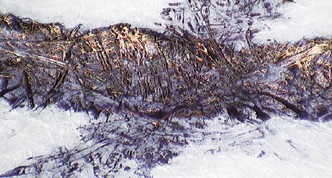 tsifrovoy-mikroskop-hirox-hrx-02-35.jpeg tsifrovoy-mikroskop-hirox-hrx-02-35.jpeg