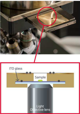 korrelyatsionnyy-optiko-elektronnyy-mikroskop-clem-bioflash-4.png