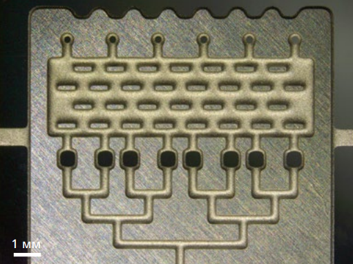 image005.png
