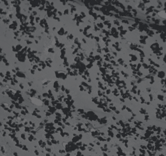 Резина в виде тонких секций, 200 нм.png