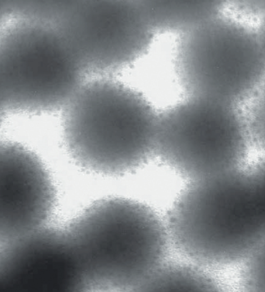 Гидрогели 100 нм.png