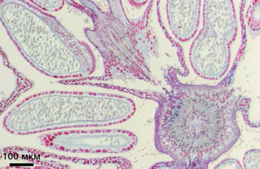 image011.png